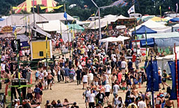 glastonbury festival for website